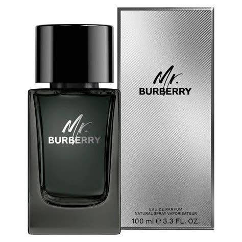 burberry mr burberry eau de parfum per uomo100 ml